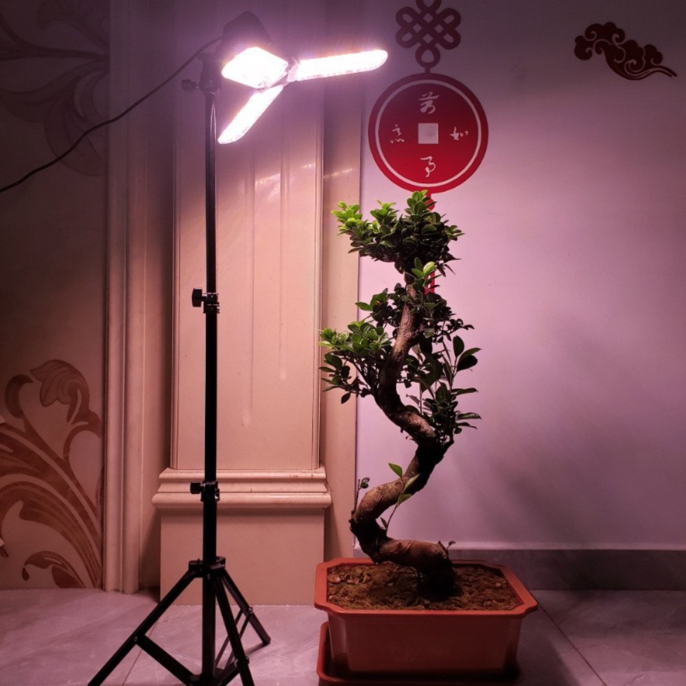 Soporte de bombilla de 2M, enc - Photography Bulb reseña y precio