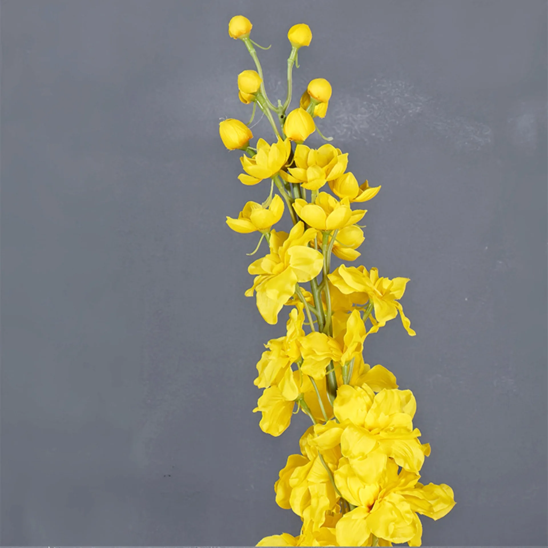 45 pulgadas Delphinium tallo F - Photography Hotel reseña y precio