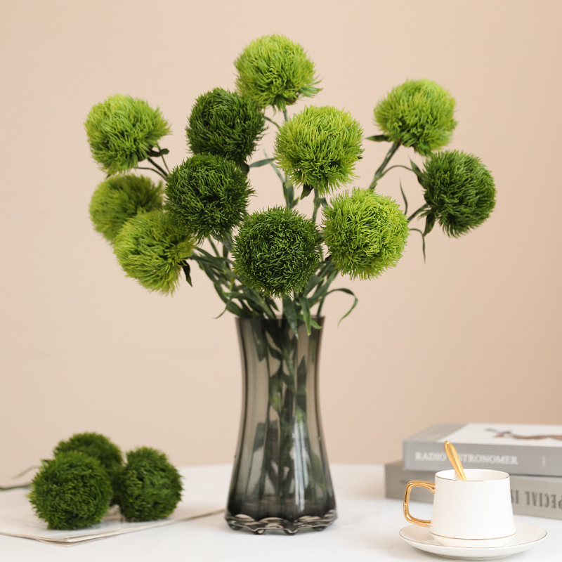 1 unidad de planta de imitació - Photography Hotel reseña y precio