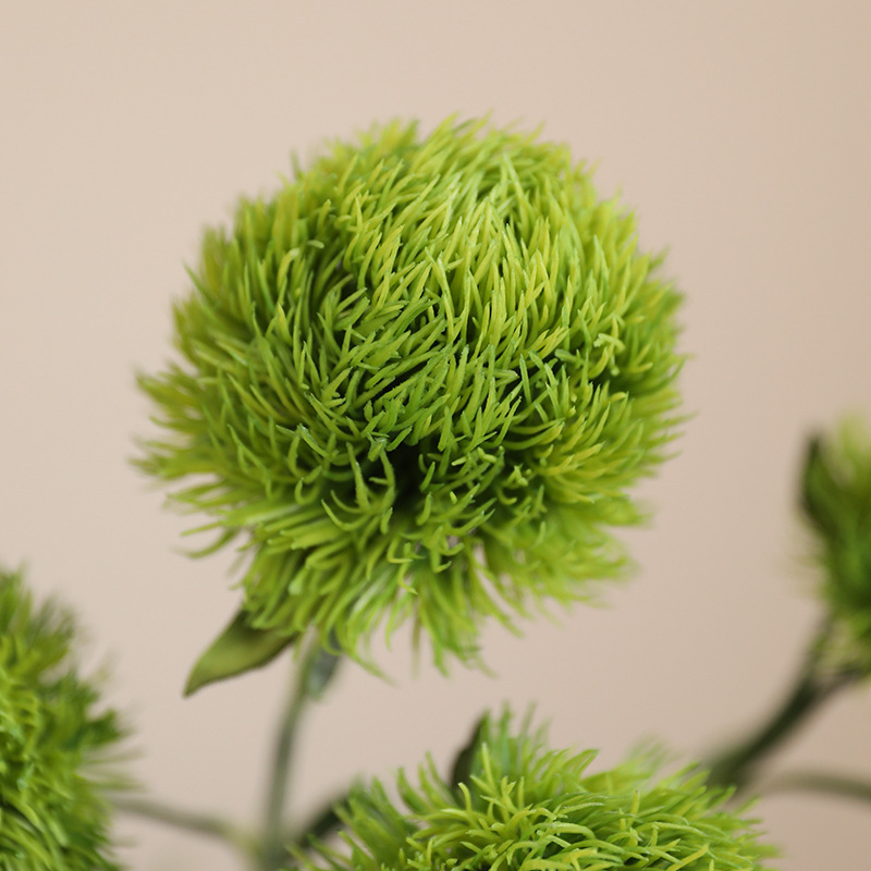 1 unidad de planta de imitació - Photography Hotel reseña y precio