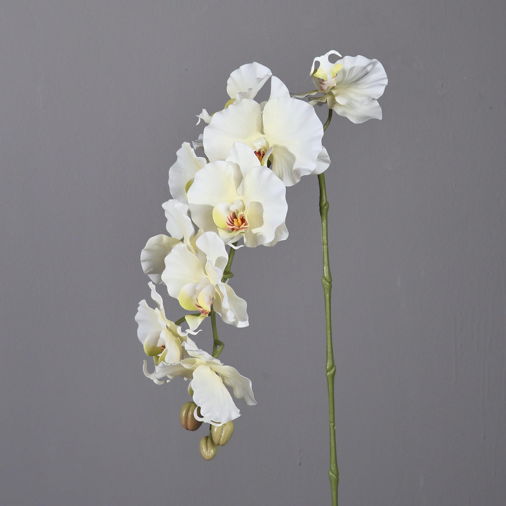 Phalaenopsis Artificial de est - Photography Hotel reseña y precio